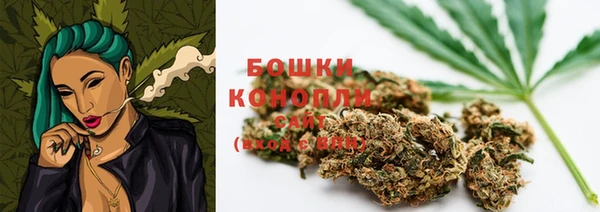 ГАЛЛЮЦИНОГЕННЫЕ ГРИБЫ Аркадак