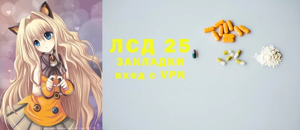 ГАЛЛЮЦИНОГЕННЫЕ ГРИБЫ Аркадак