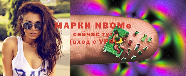 шишки Пестово
