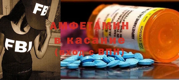 ГАЛЛЮЦИНОГЕННЫЕ ГРИБЫ Аркадак
