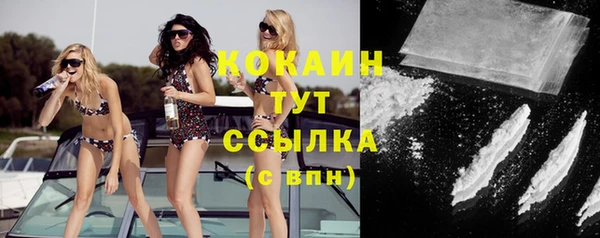 ГАЛЛЮЦИНОГЕННЫЕ ГРИБЫ Аркадак