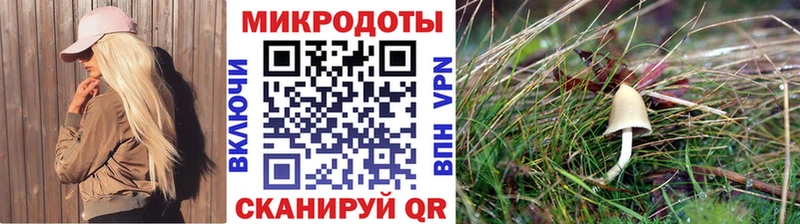 дарнет шоп  Сокол  Псилоцибиновые грибы Psilocybine cubensis 
